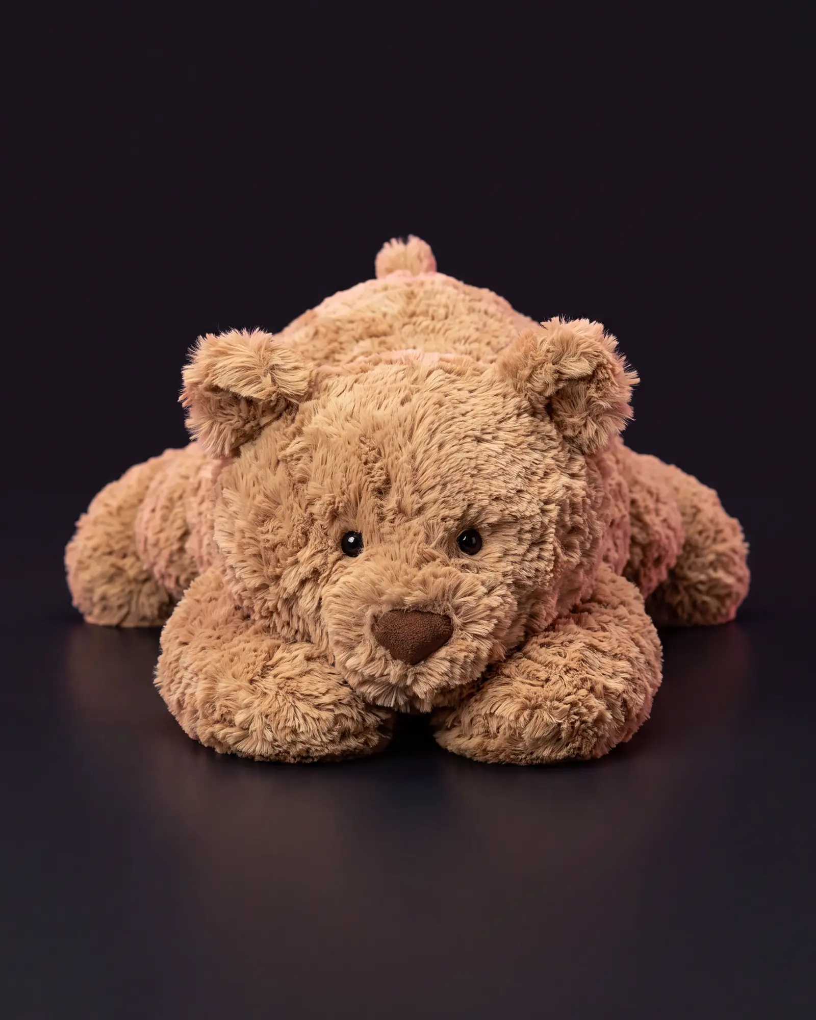 Bartholomew Bear on a dark studio background.