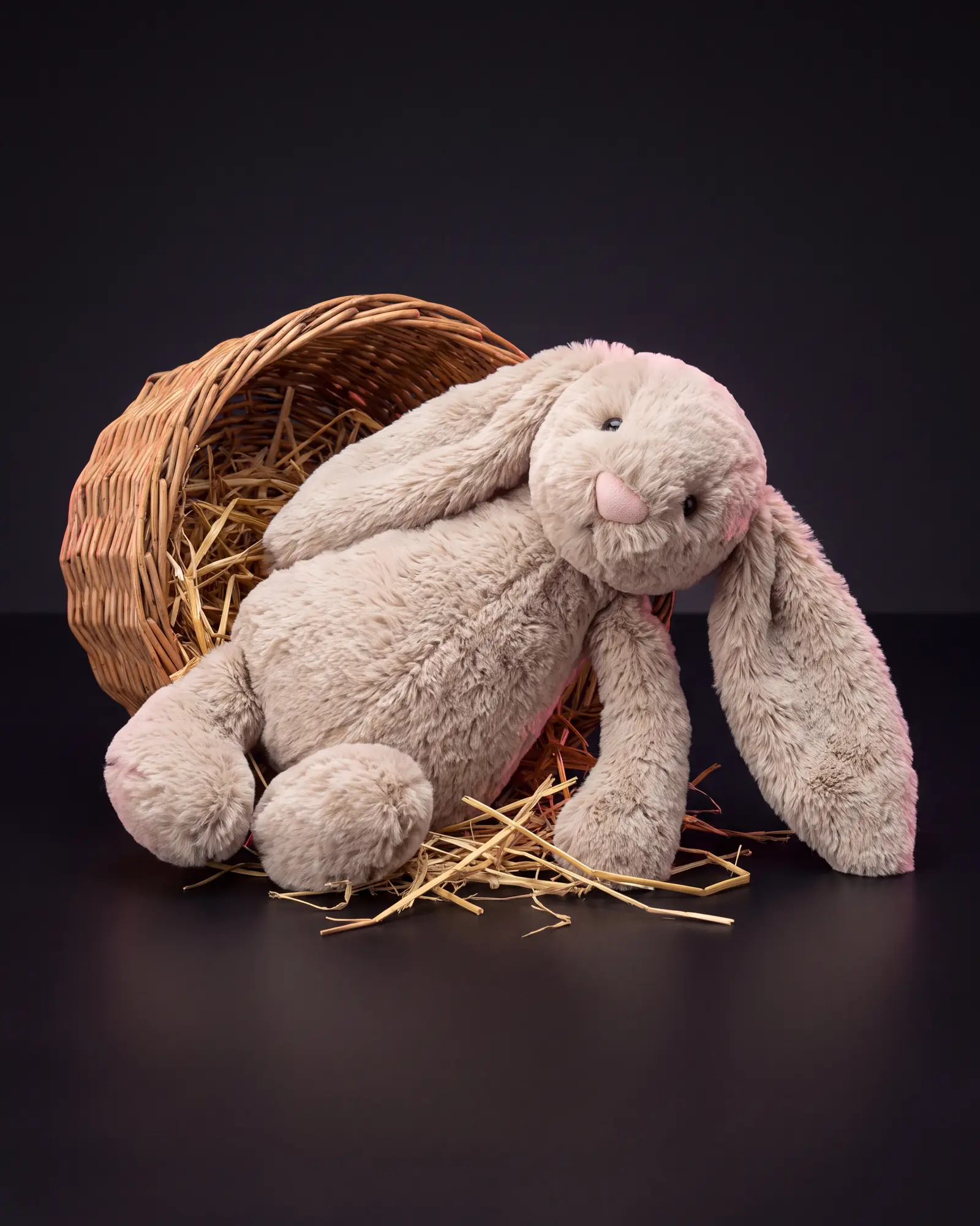 Bashful Beige Bunny、別角度からの一枚。