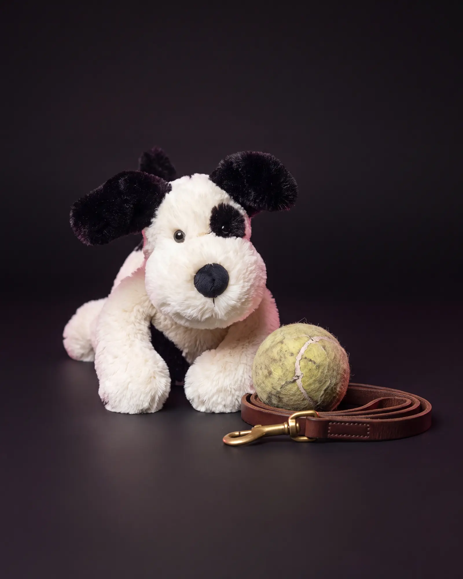 Bashful Black & Cream Puppy、別角度からの一枚。