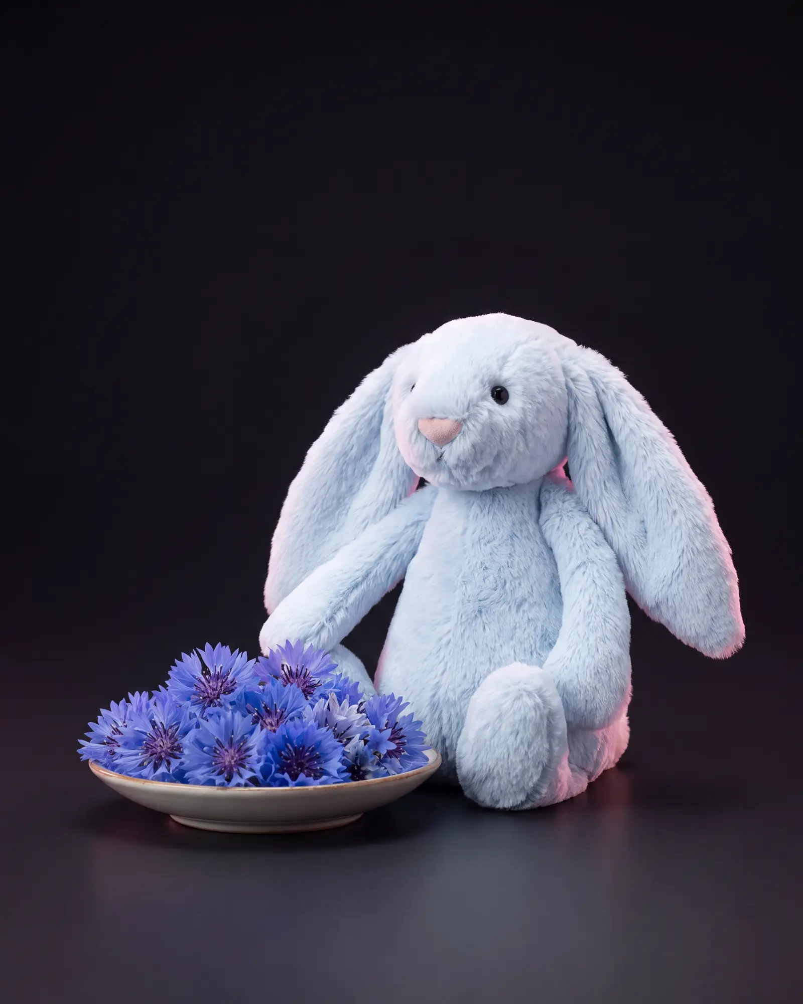 Bashful Blue Bunny、別角度からの一枚。