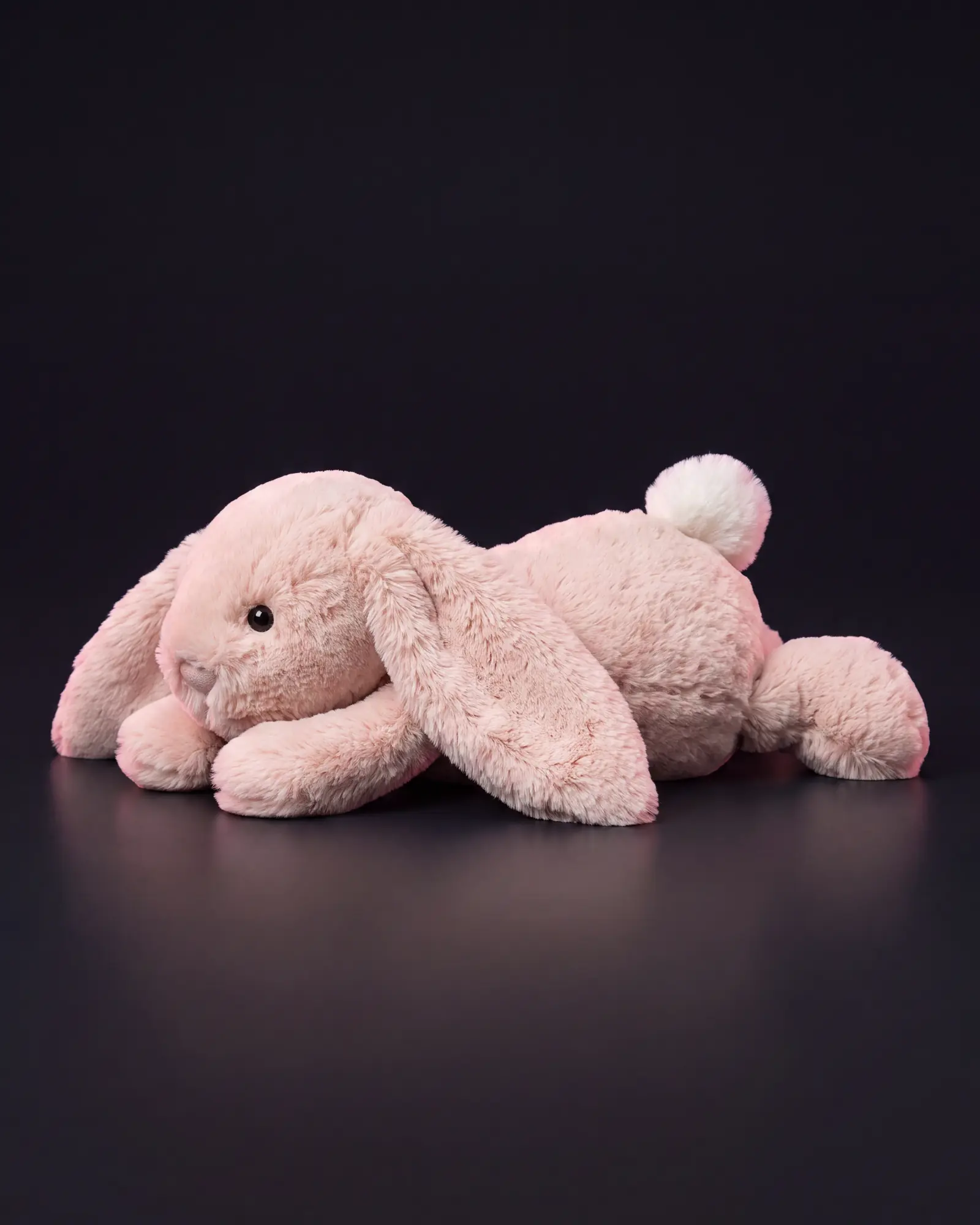 Bashful Blush Bunny on a dark studio background.