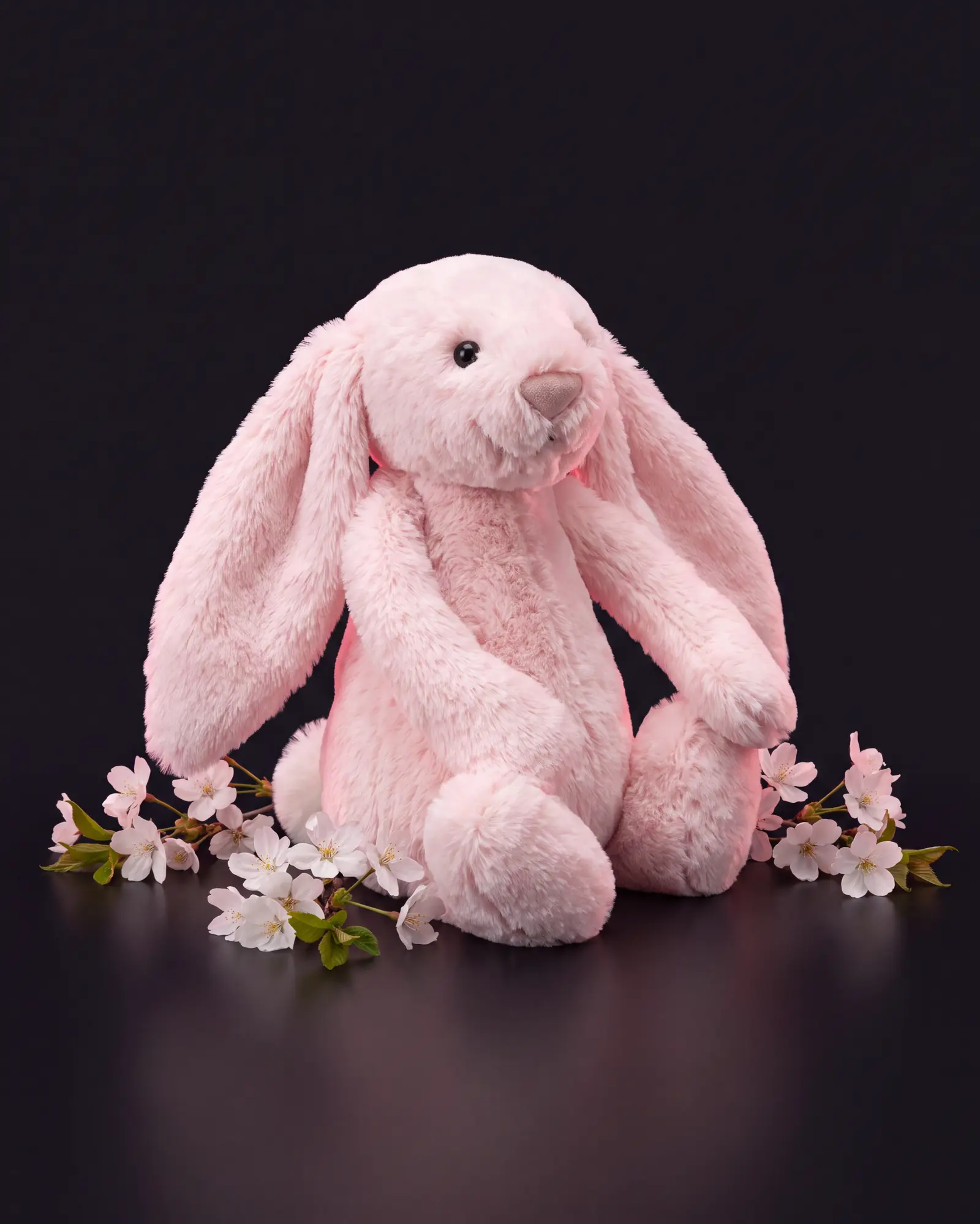 Bashful Pink Bunny、別角度からの一枚。