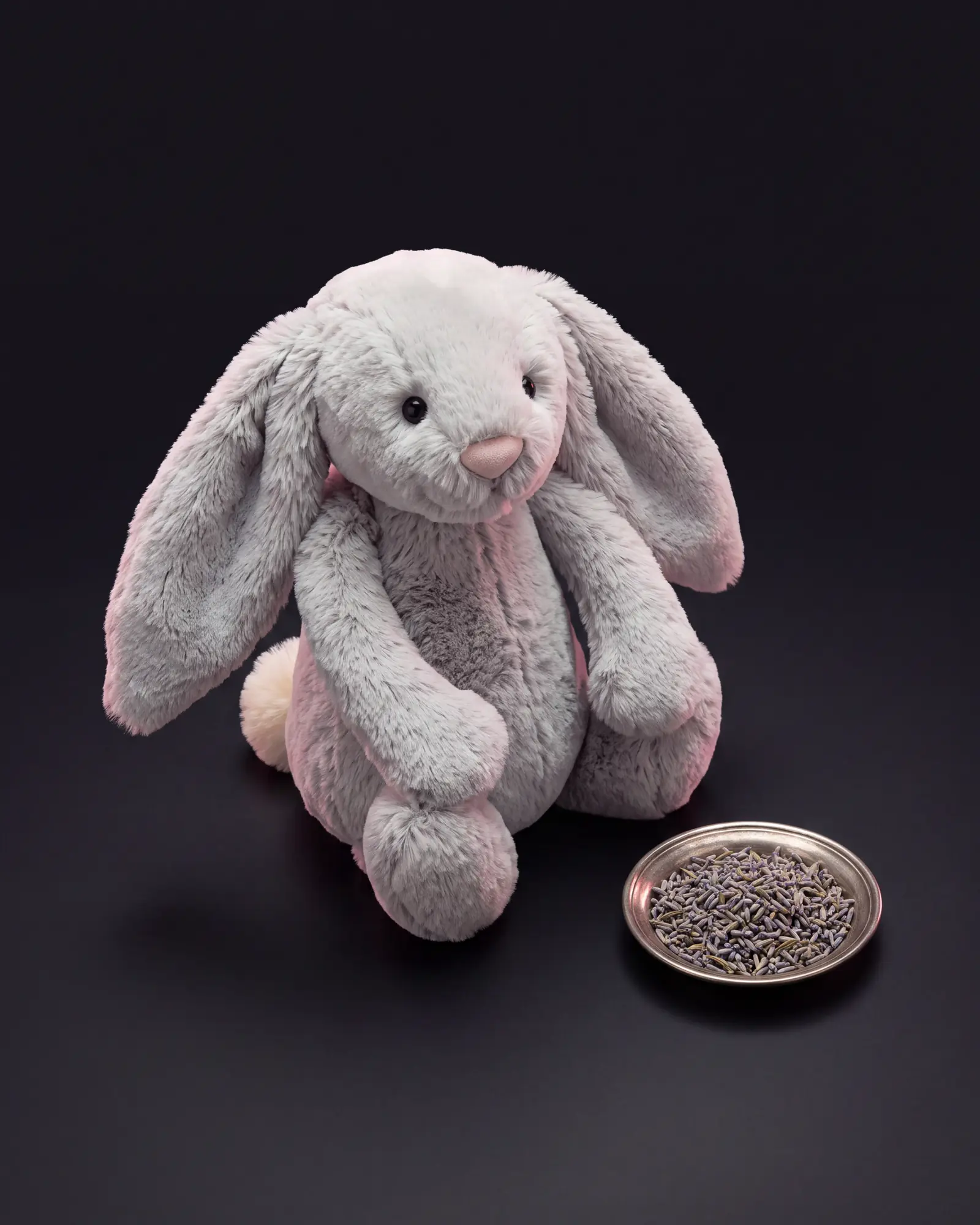 Bashful Silver Bunny、別角度からの一枚。
