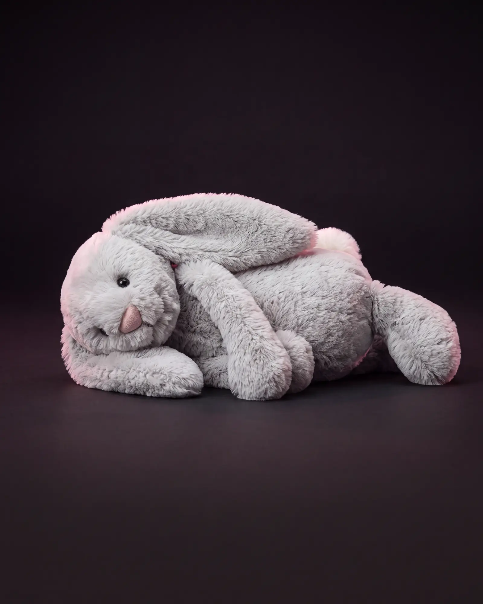 Bashful Silver Bunny on a dark studio background.