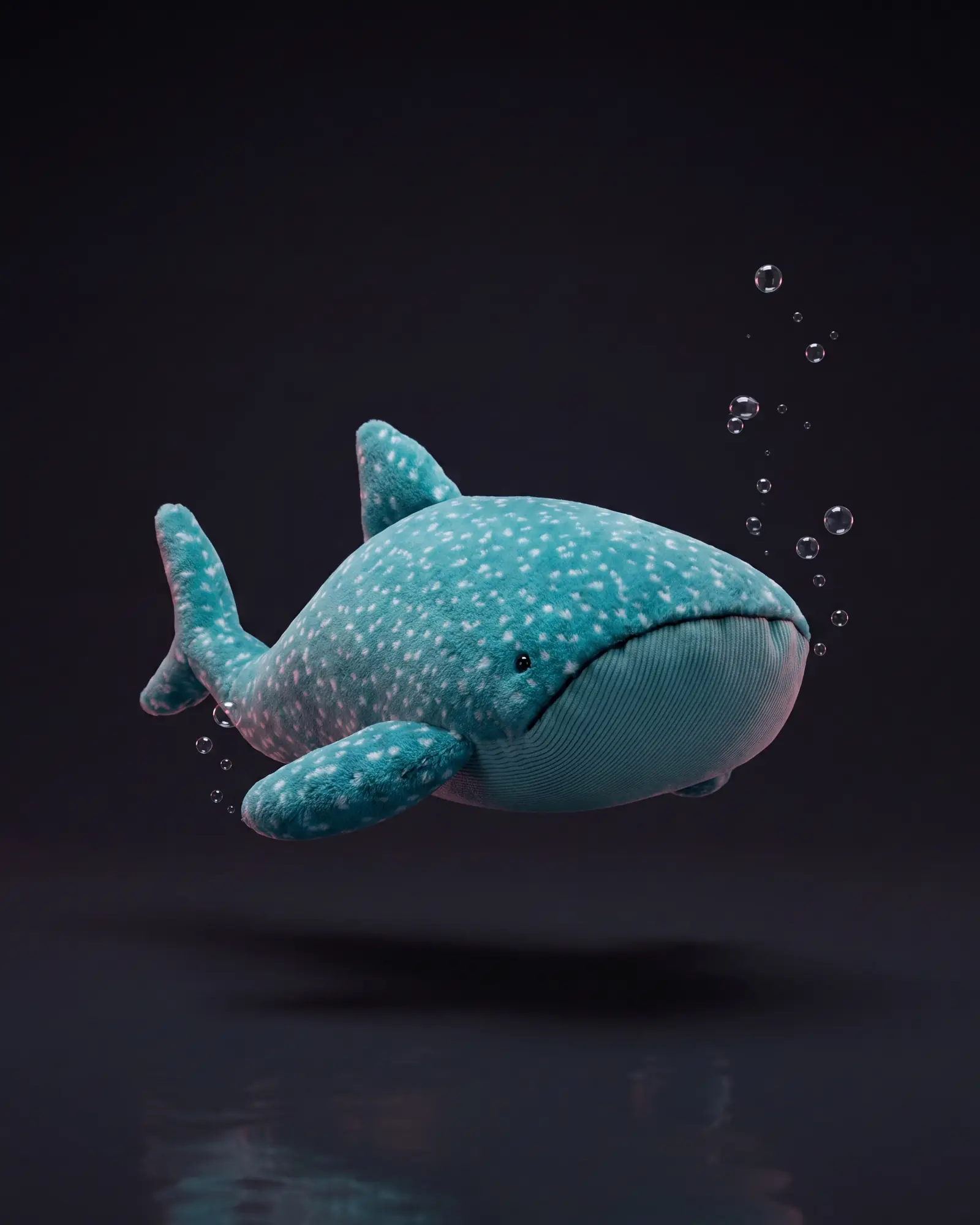 Gobfrey Whale Shark、別角度からの一枚。