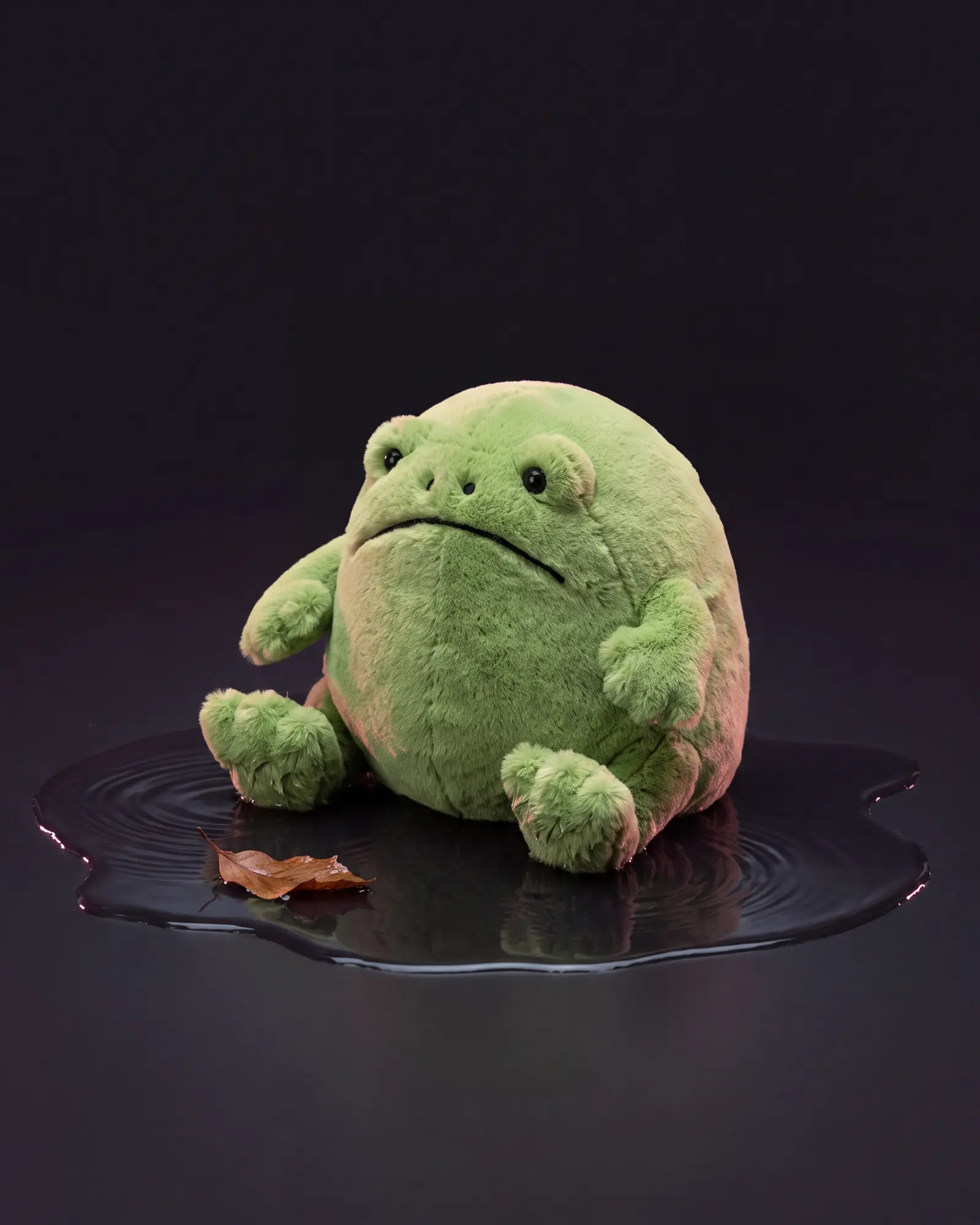 Ricky Rain Frog、別角度からの一枚。
