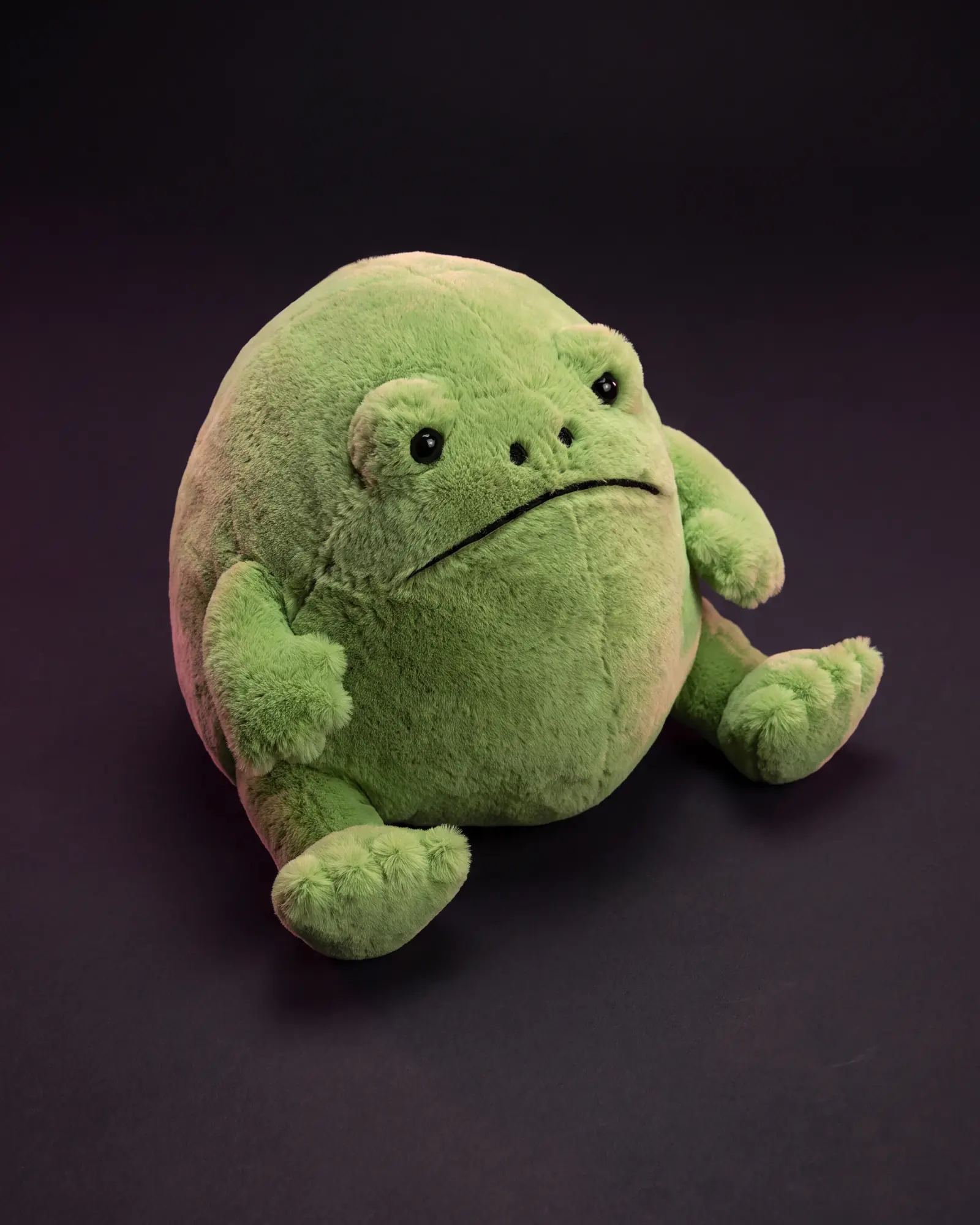 Ricky Rain Frog on a dark studio background.