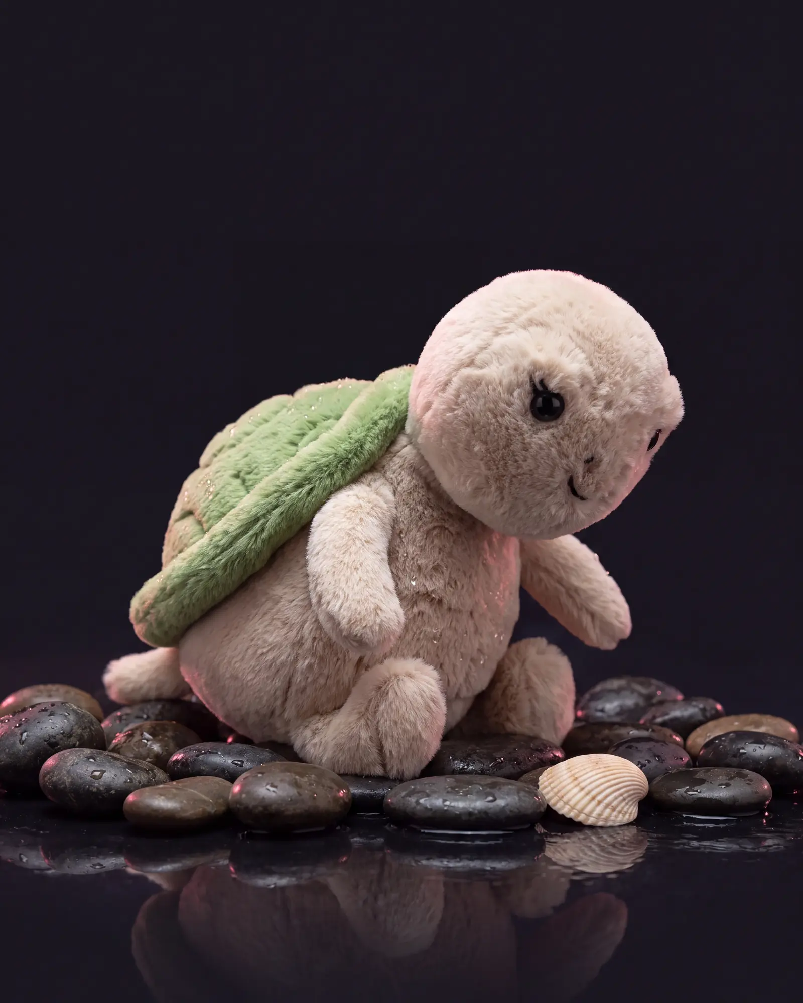 Thimble Turtle、別角度からの一枚。