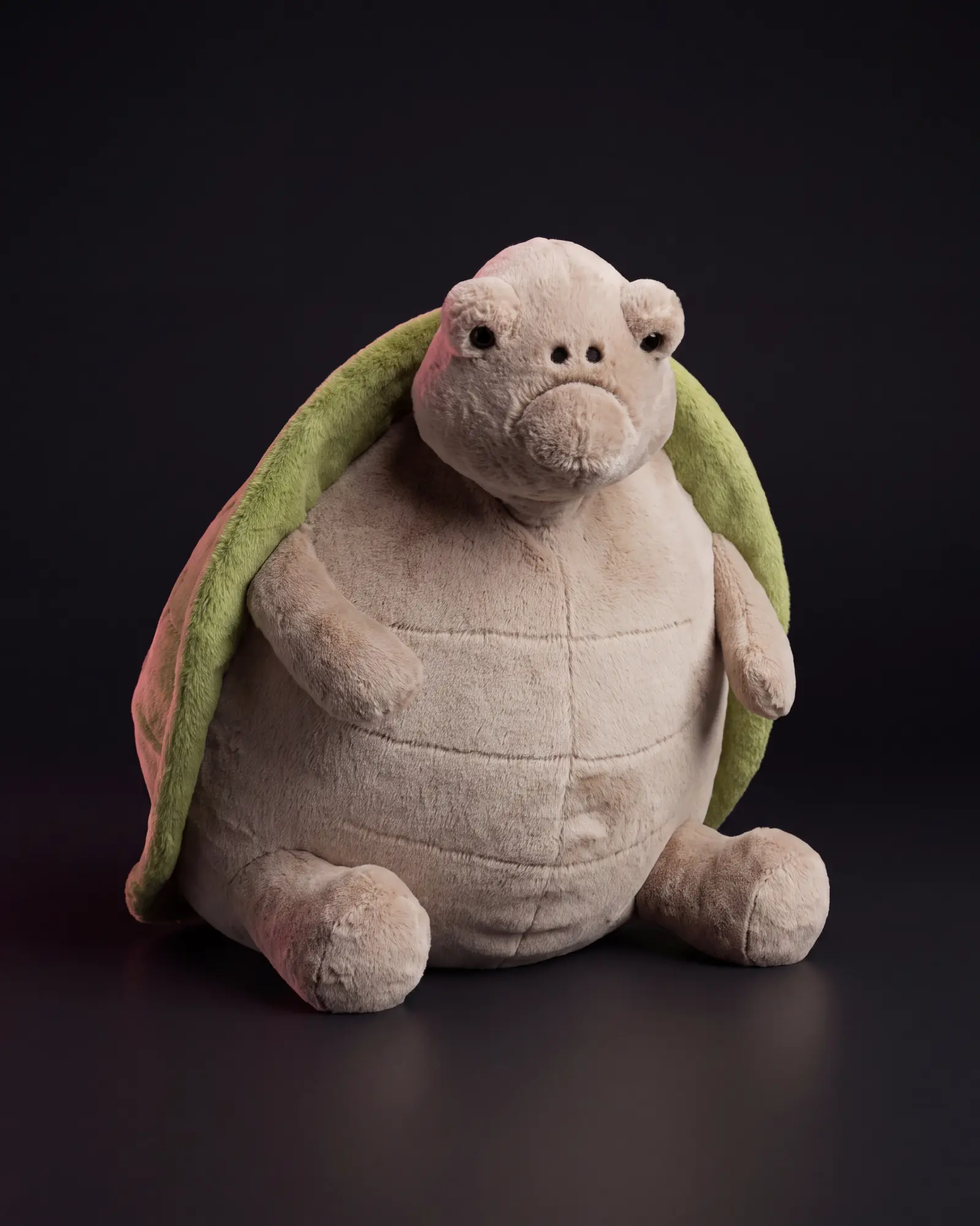 A cream-beige Jellycat turtle with a soft green shell, sitting on a dark studio sweep.