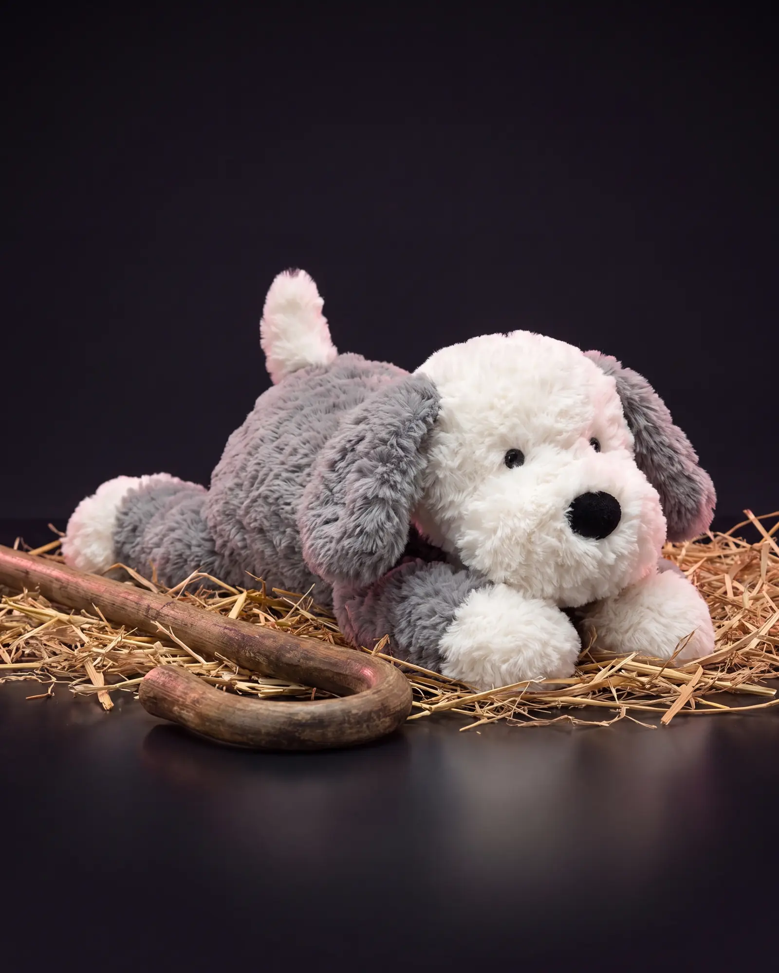 Tumblie Sheep Dog、別角度からの一枚。