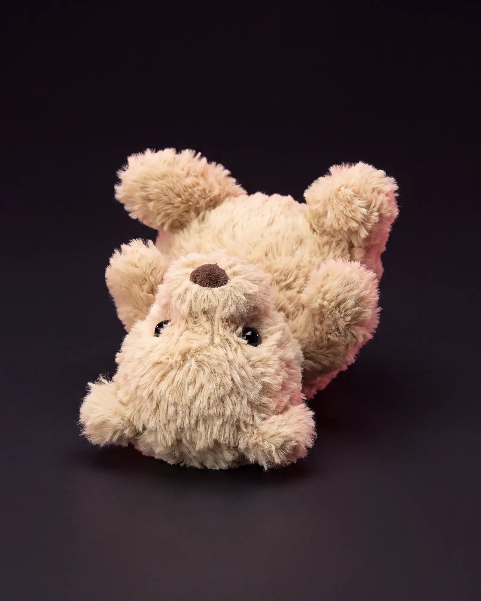 Yummy Bear on a dark studio background.